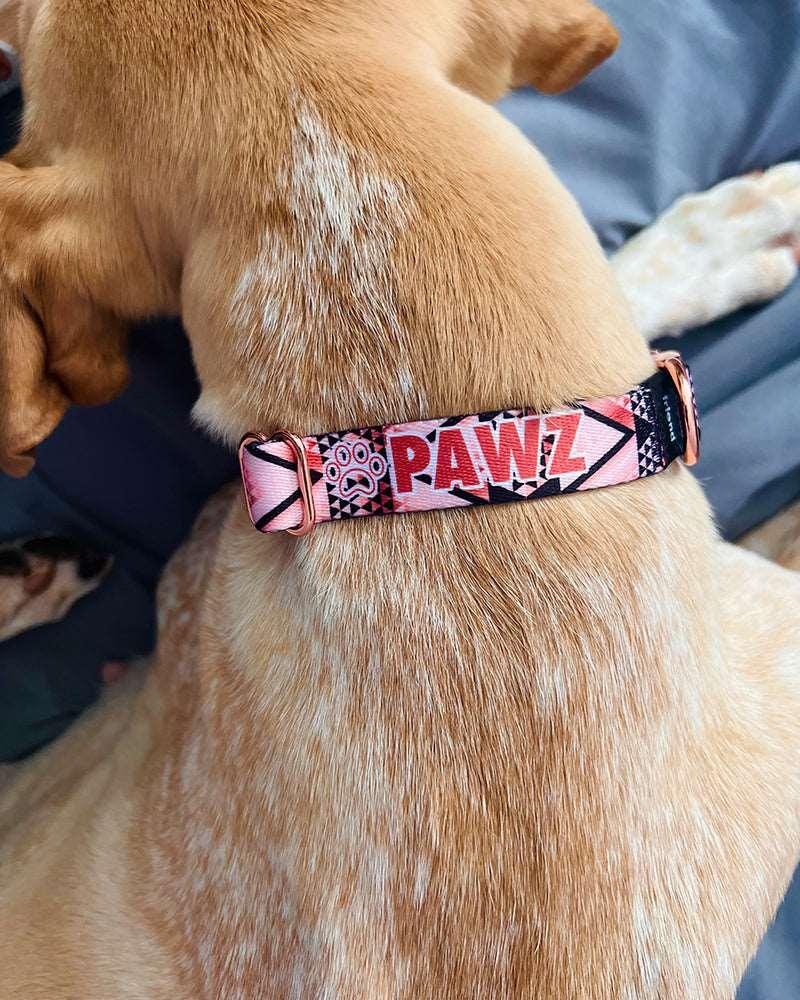 Pawz Aztec Rose Gold Dog Collar - Pawz