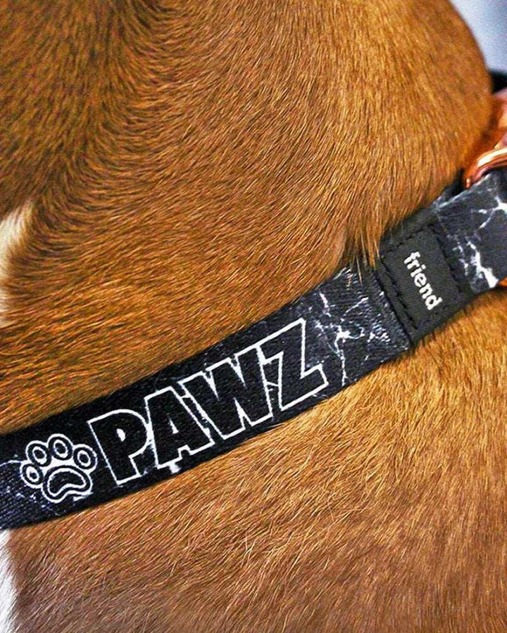 Pawz Matching Black Marble Collar + Lanyard - Pawz