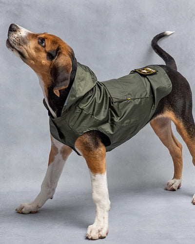 U.S. ARMY PACKABLE DOG RAINCOAT - Pawz