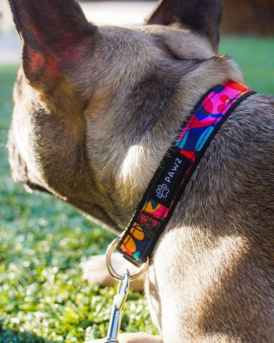 Pawz Kaleidoscope Dog Collar & Leash Set - Pawz