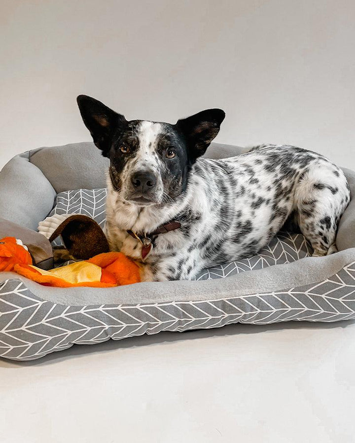 Pawz Grey Herringbone Cuddler Pet Bed - Pawz